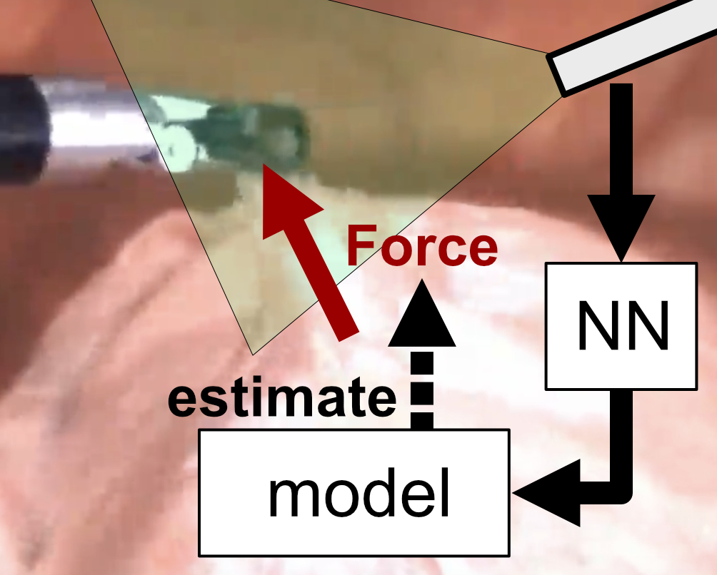 Model-mediated Extrinsic Visual Force Sensing in Telesurgery